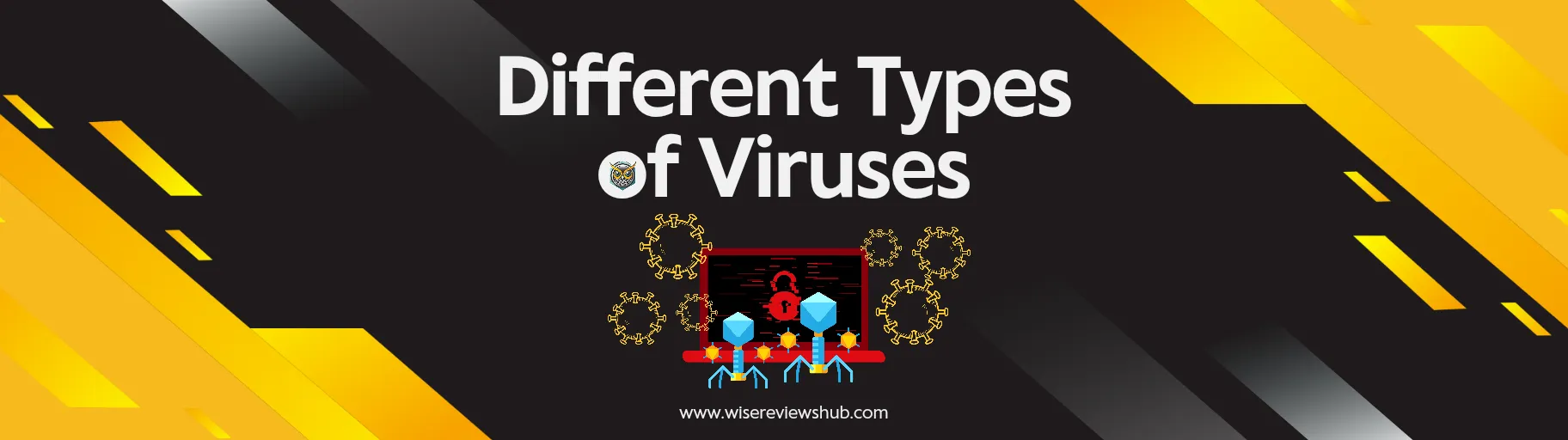 Different Types of Viruses - Wise Reviews Hub - Learn About Computer Viruses